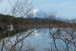 湖と富士