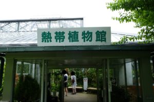 熱帯植物館